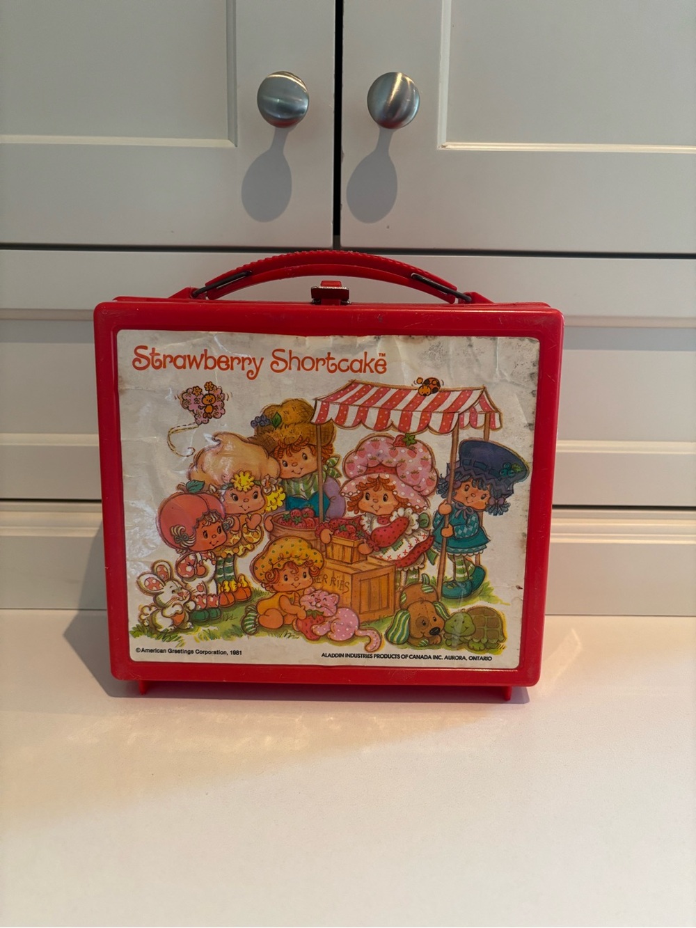 Vintage Strawberry Shortcake Case